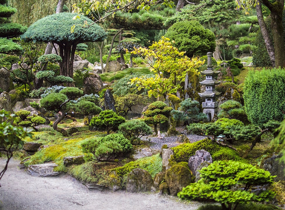 個人邸の緑地管理